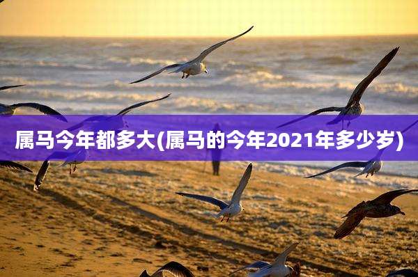 属马今年都多大(属马的今年2021年多少岁)