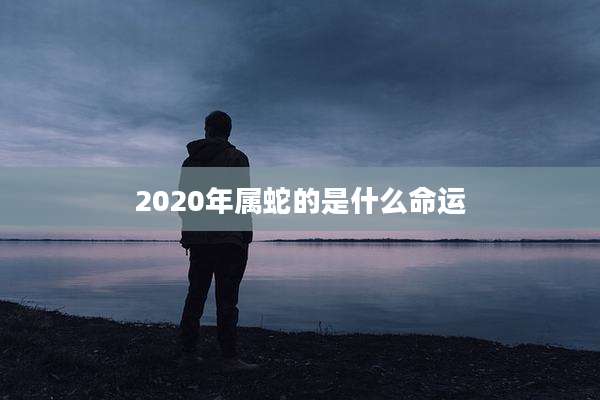 2020年属蛇的是什么命运