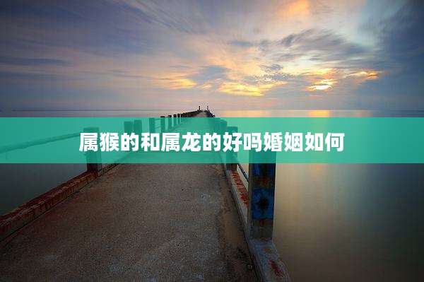 属猴的和属龙的好吗婚姻如何