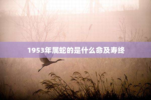 1953年属蛇的是什么命及寿终