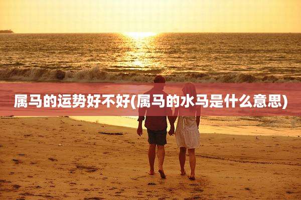 属马的运势好不好(属马的水马是什么意思)
