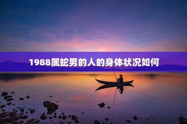 1988属蛇男的人的身体状况如何