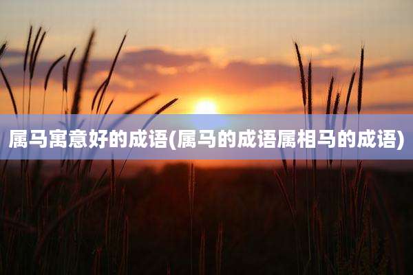 属马寓意好的成语(属马的成语属相马的成语)