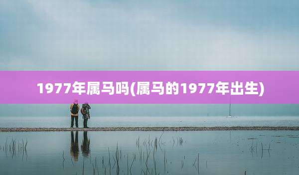1977年属马吗(属马的1977年出生)