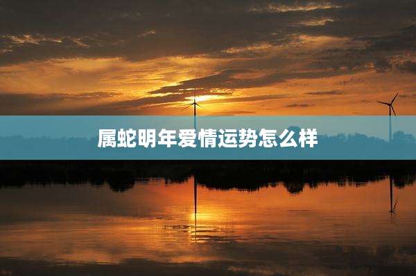 属蛇明年爱情运势怎么样