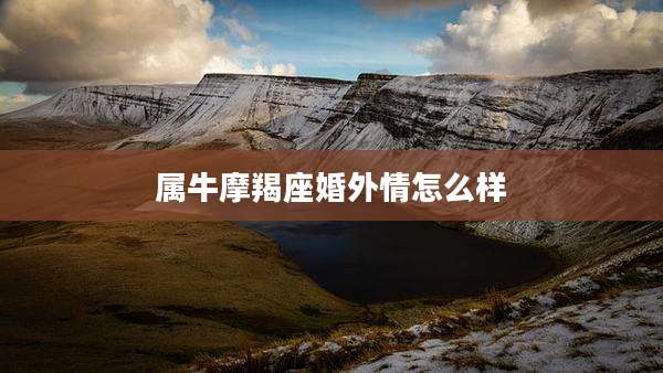 属牛摩羯座婚外情怎么样