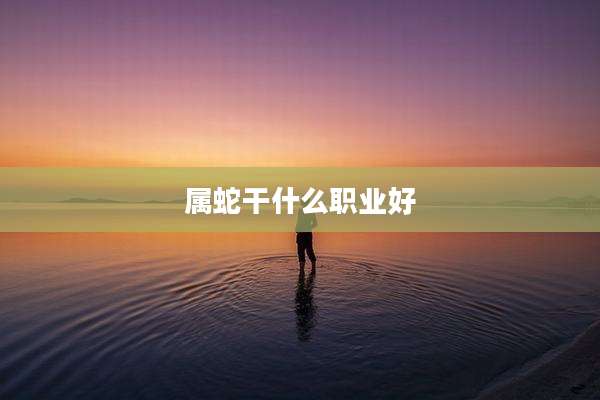 属蛇干什么职业好