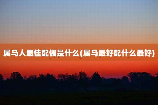 属马人最佳配偶是什么(属马最好配什么最好)
