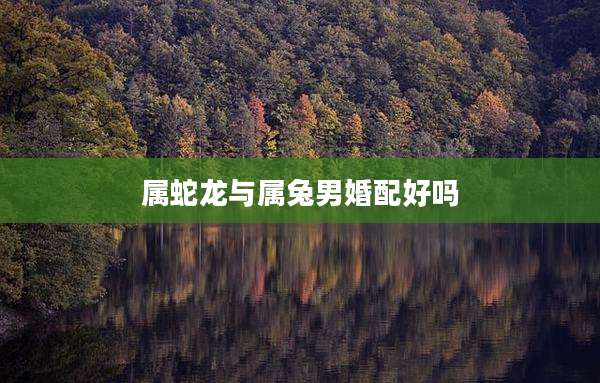 属蛇龙与属兔男婚配好吗