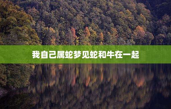 我自己属蛇梦见蛇和牛在一起
