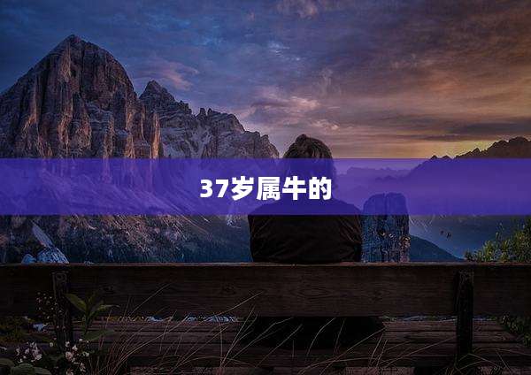 37岁属牛的