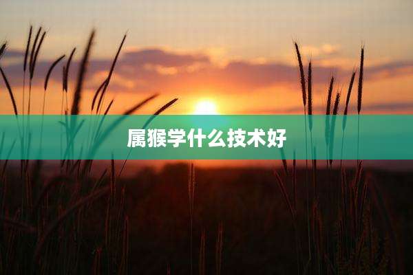 属猴学什么技术好