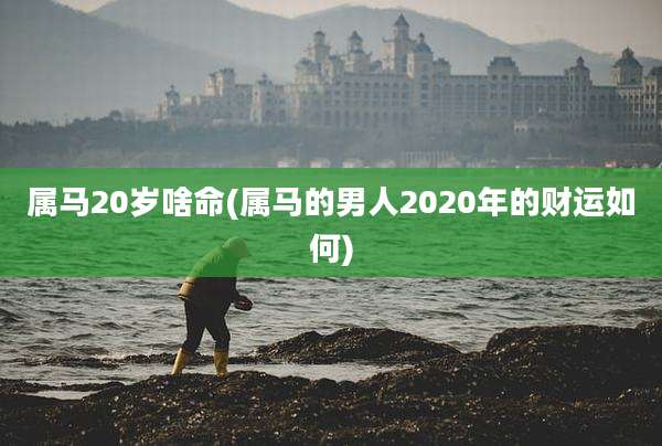 属马20岁啥命(属马的男人2020年的财运如何)