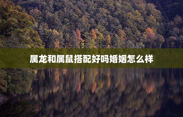 属龙和属鼠搭配好吗婚姻怎么样