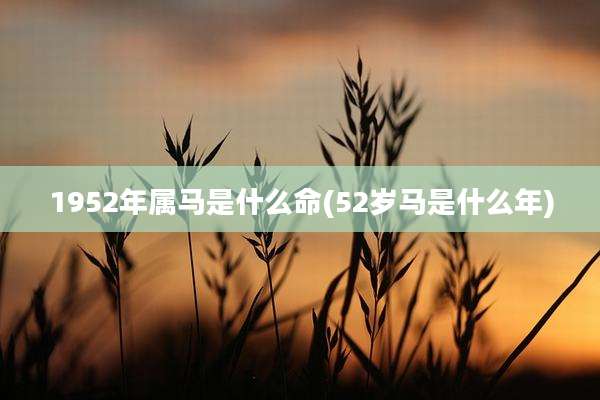 1952年属马是什么命(52岁马是什么年)