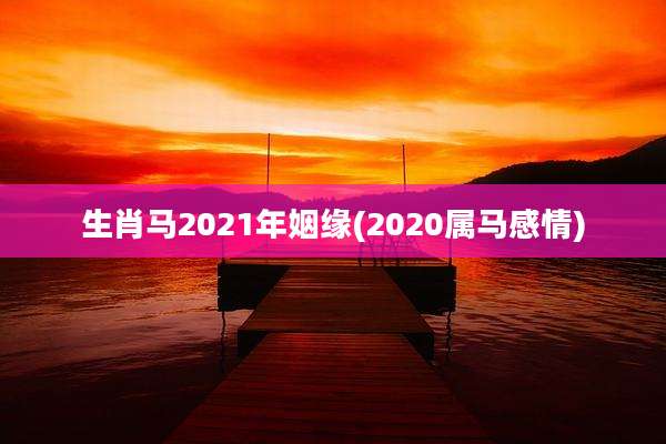 生肖马2021年姻缘(2020属马感情)