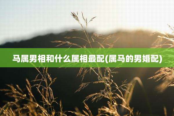 马属男相和什么属相最配(属马的男婚配)