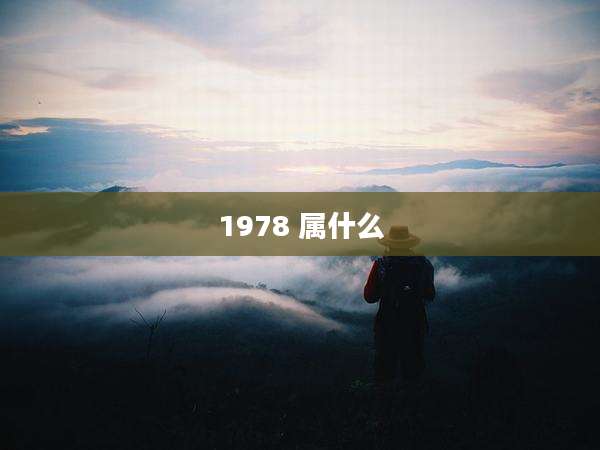 1978 属什么