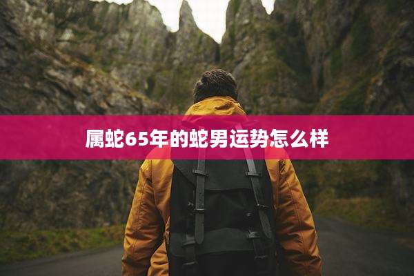 属蛇65年的蛇男运势怎么样