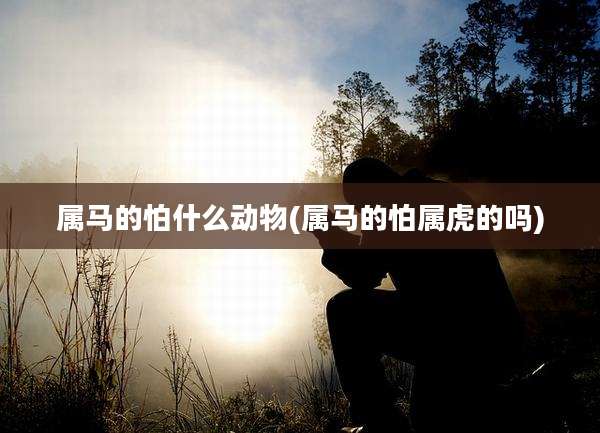 属马的怕什么动物(属马的怕属虎的吗)