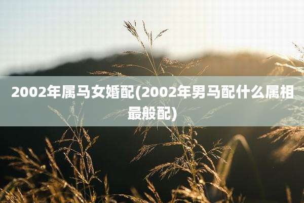 2002年属马女婚配(2002年男马配什么属相最般配)