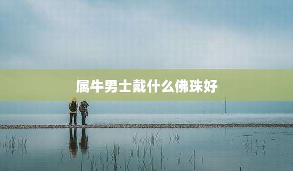 属牛男士戴什么佛珠好