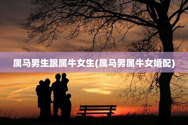属马男生跟属牛女生(属马男属牛女婚配)