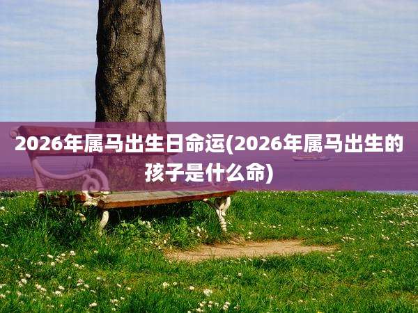 2026年属马出生日命运(2026年属马出生的孩子是什么命)