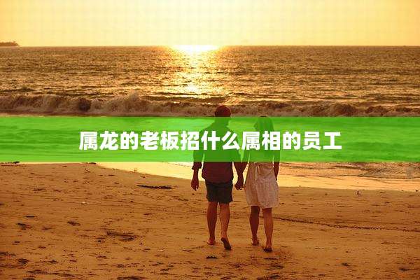 属龙的老板招什么属相的员工