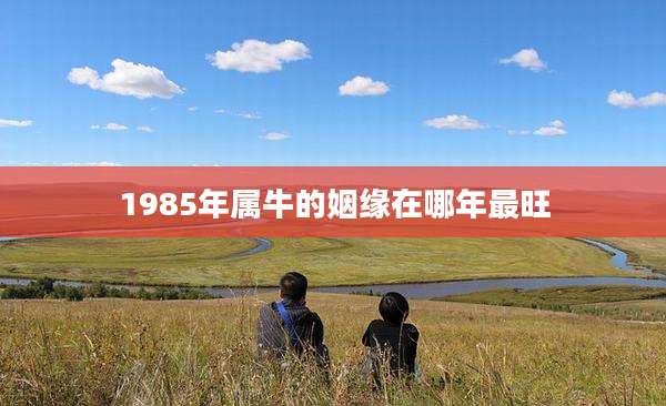 1985年属牛的姻缘在哪年最旺