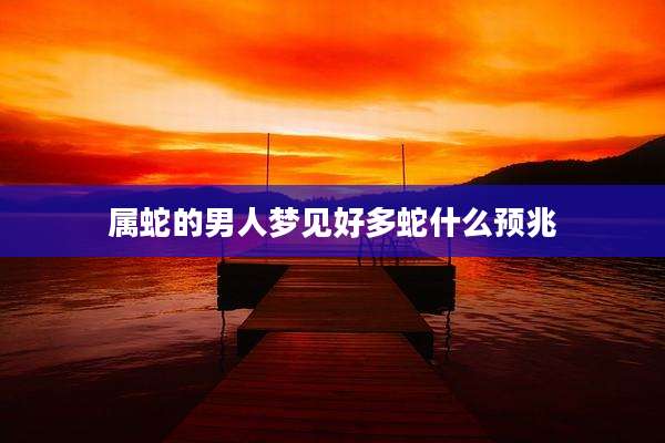 属蛇的男人梦见好多蛇什么预兆