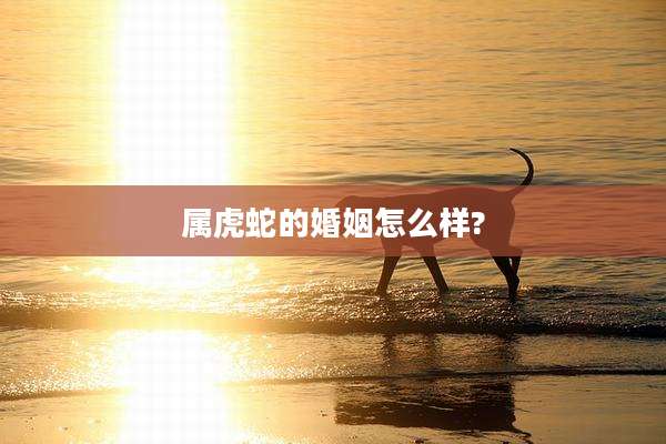 属虎蛇的婚姻怎么样?