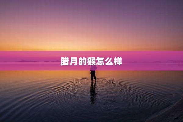 腊月的猴怎么样