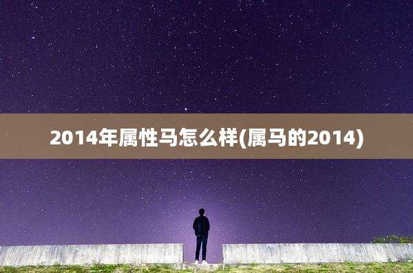 2014年属性马怎么样(属马的2014)