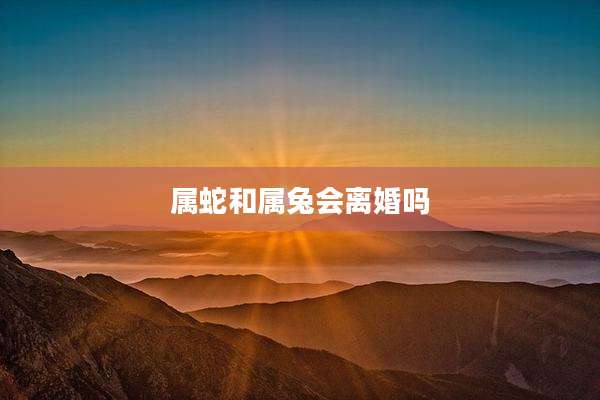 属蛇和属兔会离婚吗