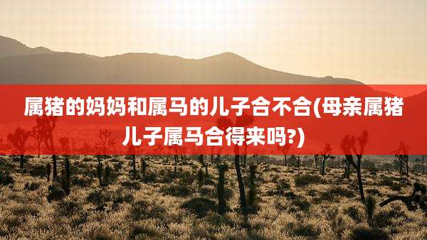 属猪的妈妈和属马的儿子合不合(母亲属猪儿子属马合得来吗?)