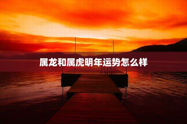 属龙和属虎明年运势怎么样