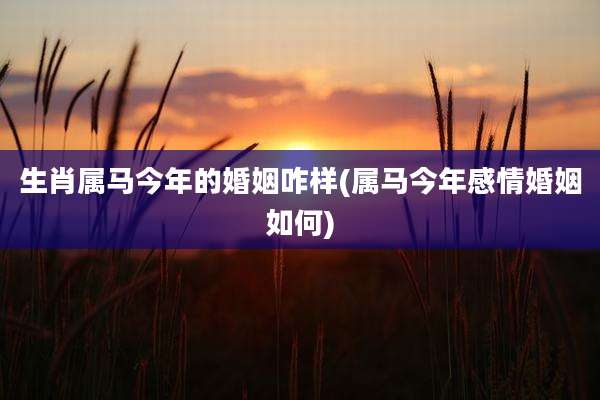 生肖属马今年的婚姻咋样(属马今年感情婚姻如何)