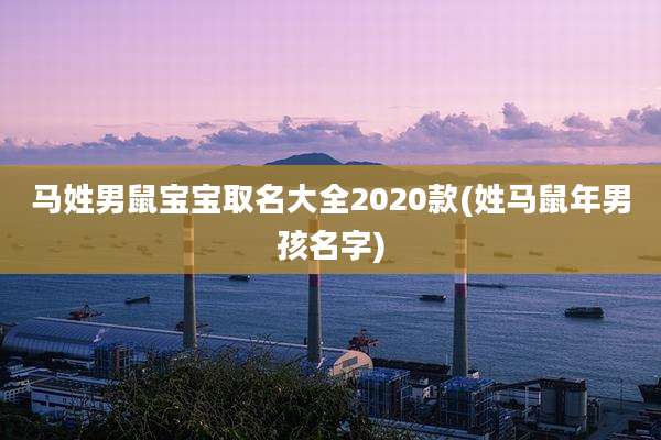 马姓男鼠宝宝取名大全2020款(姓马鼠年男孩名字)