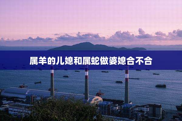 属羊的儿媳和属蛇做婆媳合不合