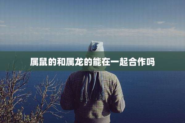 属鼠的和属龙的能在一起合作吗