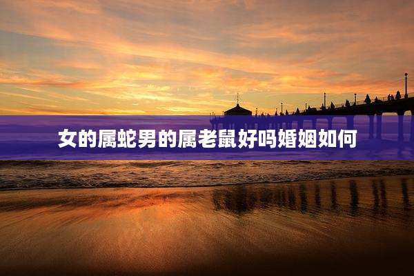 女的属蛇男的属老鼠好吗婚姻如何