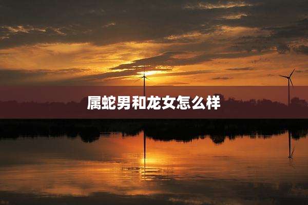 属蛇男和龙女怎么样