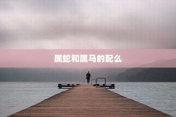 属蛇和属马的配么