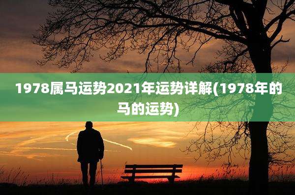 1978属马运势2021年运势详解(1978年的马的运势)