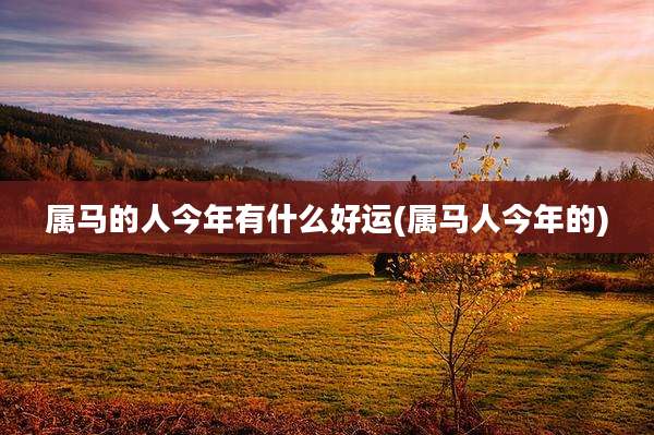 属马的人今年有什么好运(属马人今年的)