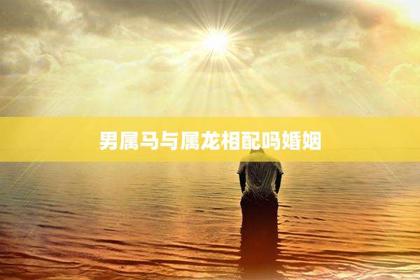 男属马与属龙相配吗婚姻