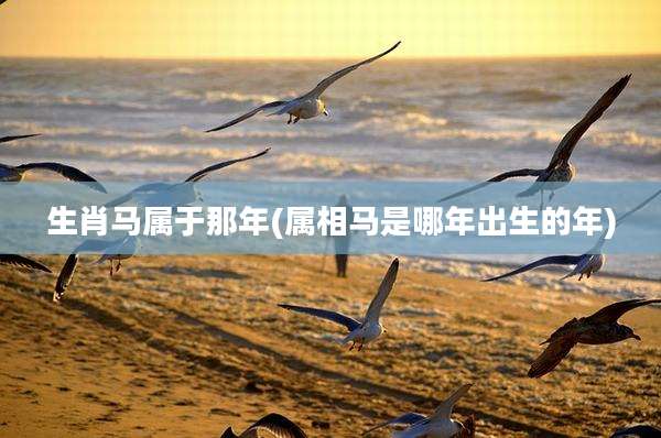 生肖马属于那年(属相马是哪年出生的年)