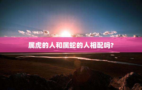 属虎的人和属蛇的人相配吗?