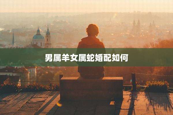 男属羊女属蛇婚配如何